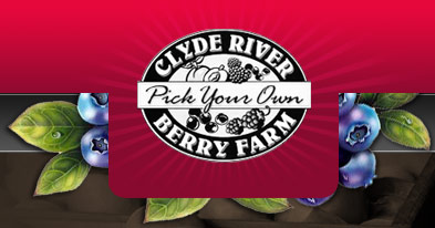 Clyde River Berry Farm- pick your own blueberries, strawberries and more!
